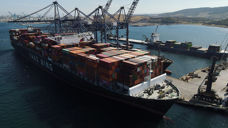 Varsayılan Başlık