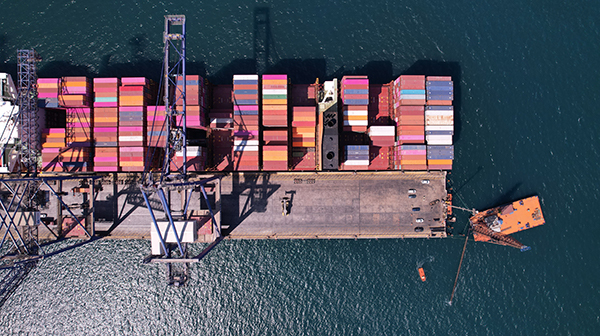 Varsayılan Başlık