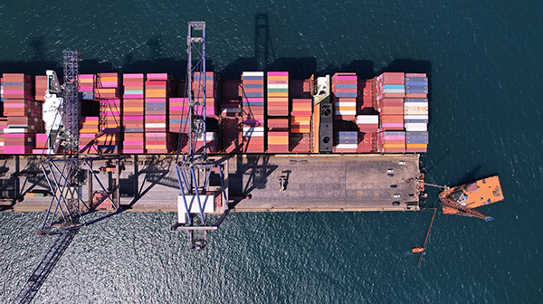 Varsayılan Başlık