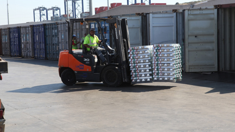 Varsayılan Başlık